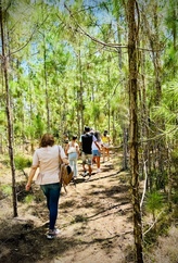 CoffeeLandia Slide 15